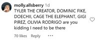 Fans react to Osheaga Festival's 2025 lineup (Image via Instagram/@molly.allsberry)